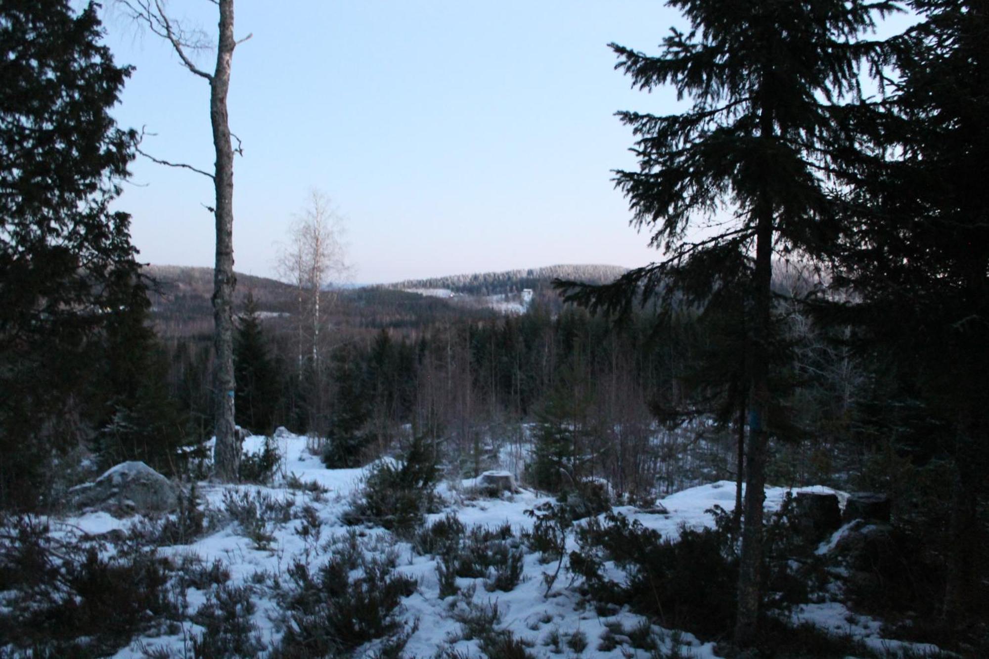 Kolinkylä Maatilamatkailu Jaenisvaara חדר תמונה